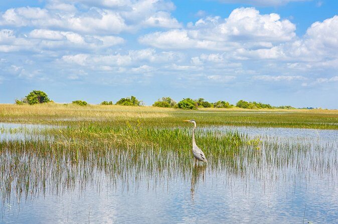 3h Boat Safari - Montreal’s Nature and Iconic Attractions Tour - Timing, weather, and when you might get a swim