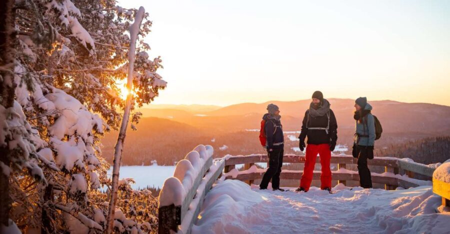 From Montreal: Mont-Tremblant National Park Hiking Day Trip - The Montreal Start That Keeps the Day from Dragging