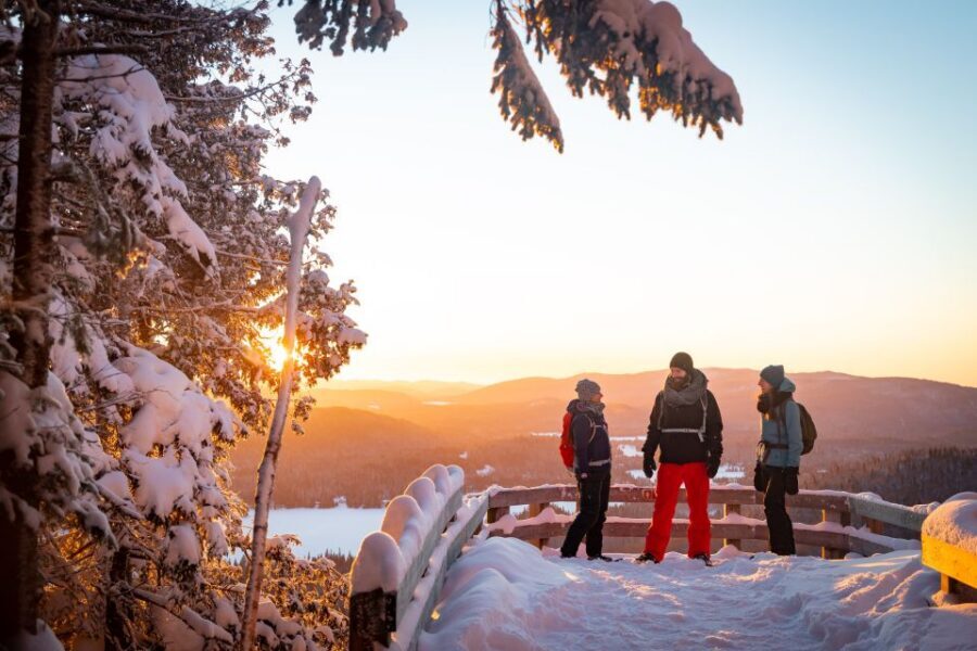 From Montreal: Mont-Tremblant National Park Hiking Day Trip - The Guide Briefing: How to Read the Park Before You Walk