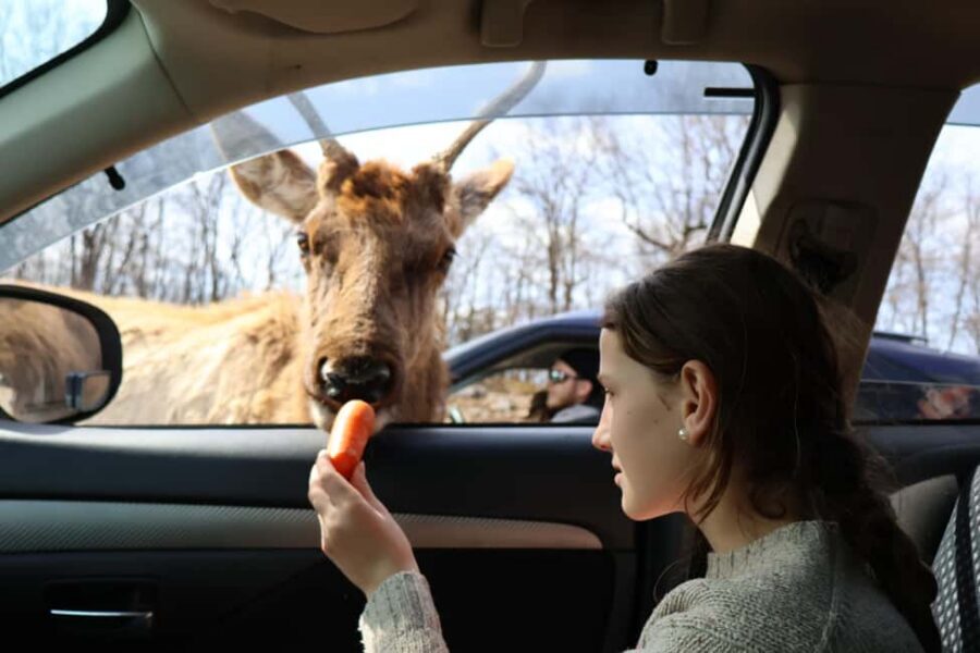 From Montreal: Omega Park Wildlife Safari Calling Sounds - Key points to know before you go