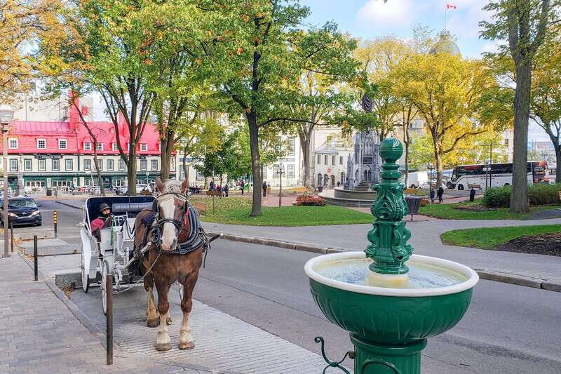 From Montreal: Quebec City and Montmorency Falls Day Trip - Value check: why $36 feels fair for a full day in Quebec City
