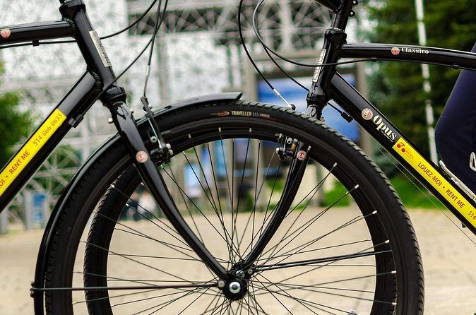 Full Day Family Bike Rental - Value, timing, and when the weather can ruin your plans