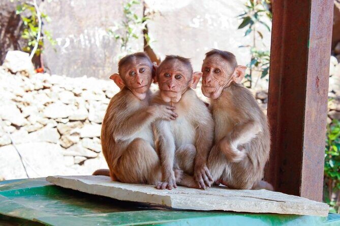Granby Zoo 1 Day - Tips to make your 5-hour zoo visit work