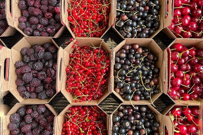 Guided Tour and Tastings at Jean-Talon Market with a Food Writer - How the 2-hour route fits food into the walk (and keeps it moving)
