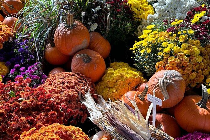 Guided Tour and Tastings at Jean-Talon Market with a Food Writer - Stop-by-stop expectations: how each tasting adds a different skill