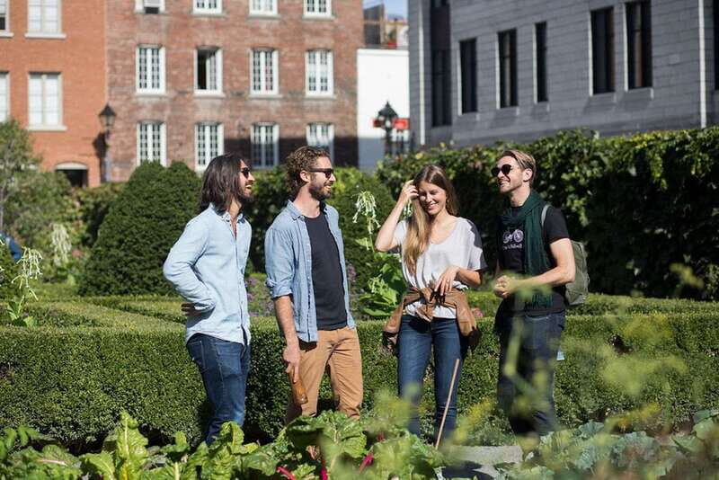 Highlights & Hidden Gems of Old Montreal guided walking tour - Pacing and group energy: short tour, big storytelling payoff