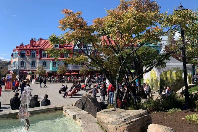 Mont-Tremblant 1 Day Tour - Who should book this tour, and who should choose something else