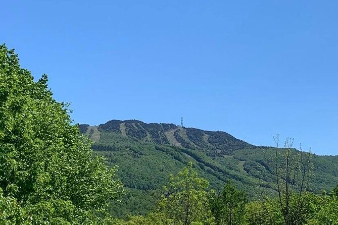 Mont Tremblant Private Day Tour from Montreal - How the guide shapes your day (and why it matters)