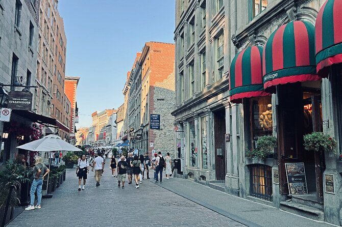 Montreal: 3-Hour Private Car Tour with Expert & Free Pick up - A Private 3-Hour Montreal Drive With Free Pickup