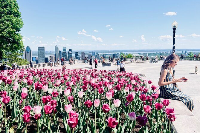 Montreal: 3-Hour Private Car Tour with Expert & Free Pick up - Old Port of Montreal and the Riverfront: Quick Stops, Good Context
