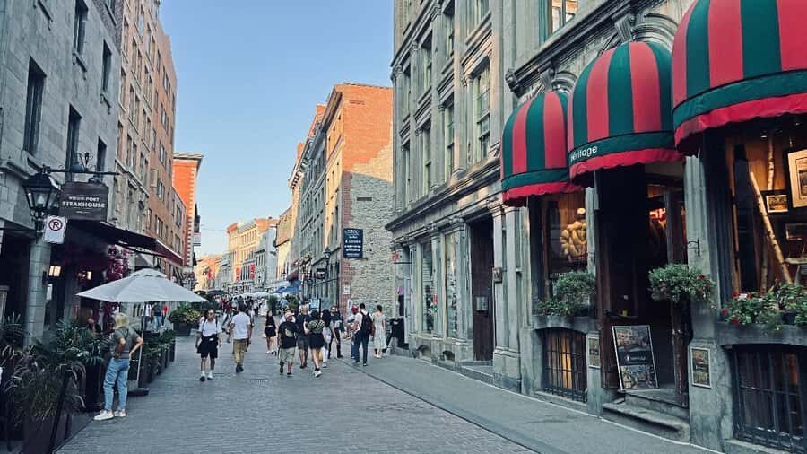 Montreal 3-Hour Private Car Tour with Expert Local Guide - French, Portuguese, and Italian neighborhoods: what to notice from the car