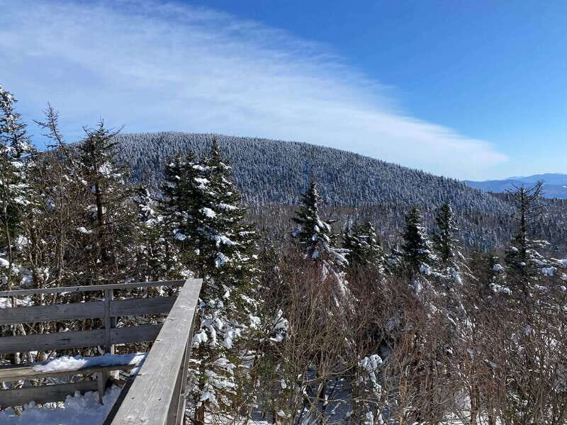 Montreal: Canadian Forest Guided Tour by Snowmobile - Should You Book This Montreal-to- Laurentides Snowmobile Tour?