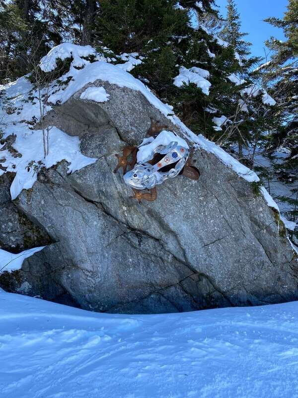 Montreal: Canadian Forest Guided Tour by Snowmobile - Price and Value: What $402 Includes (and the Deposit Reality)