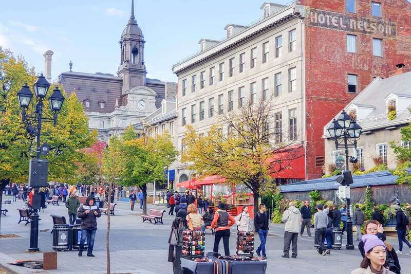 Montreal: Guided Bus Tour - Olympic Park and the Bell Centre: Sports Montreal Up Close