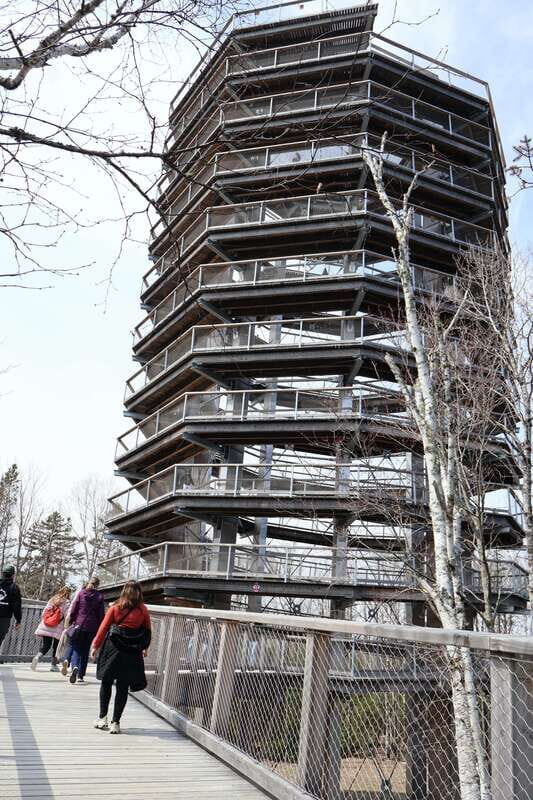 Montreal: Guided tour of the Laurentides Mont Tremblant - Key points before you go