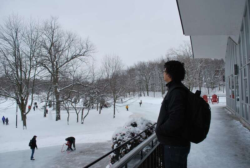 Montreal: Half-Day City Tour - Price and Value: What $98 Buys in a Short Tour