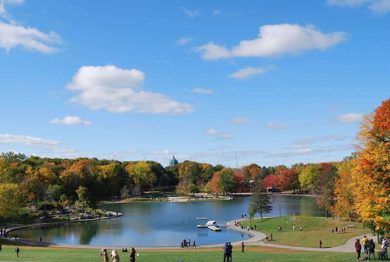Montreal: Half-Day City Tour - What to Bring and How to Prepare for a 3-Hour Sightseeing Sprint