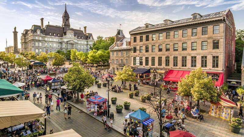 Montreal: Half-day Guided City Tour - Jacques Cartier Bridge views and the Mount Royal approach