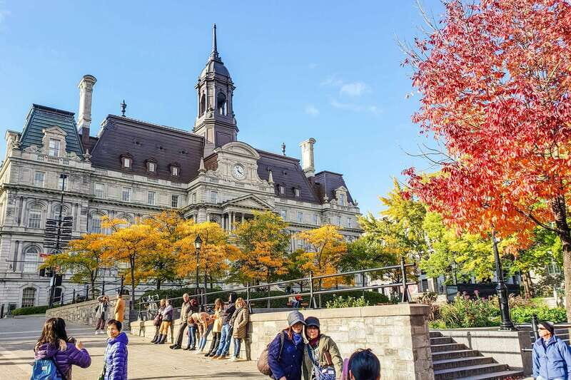 Montreal: Hop-On Hop-Off Double-Decker Bus Tour - Live Guides: Humor, Facts, and Why It Can Vary