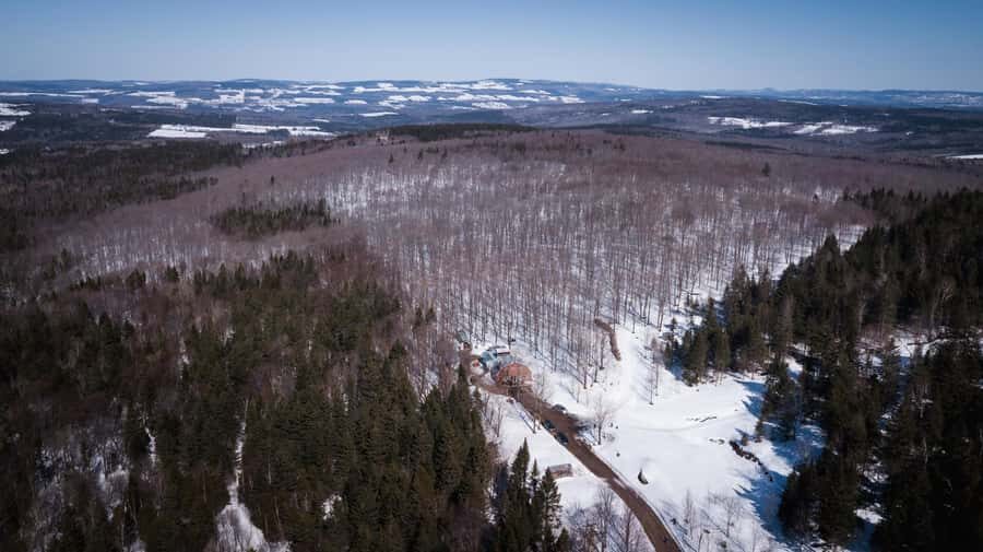 Montréal: Maple Syrup Tasting Conference! - Price and value: is $22 worth 10 tastings?