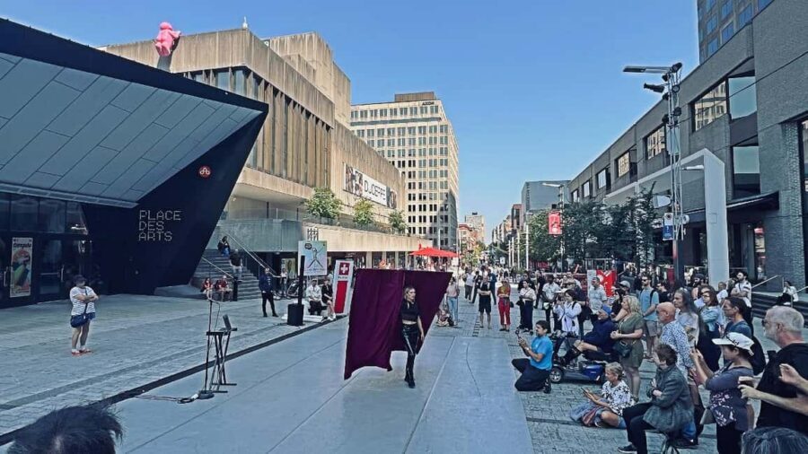 Montreal: Private 2h Walking Tour RESO and Old Montreal - Starting at the MMFA: the downtown spine you’ll understand fast