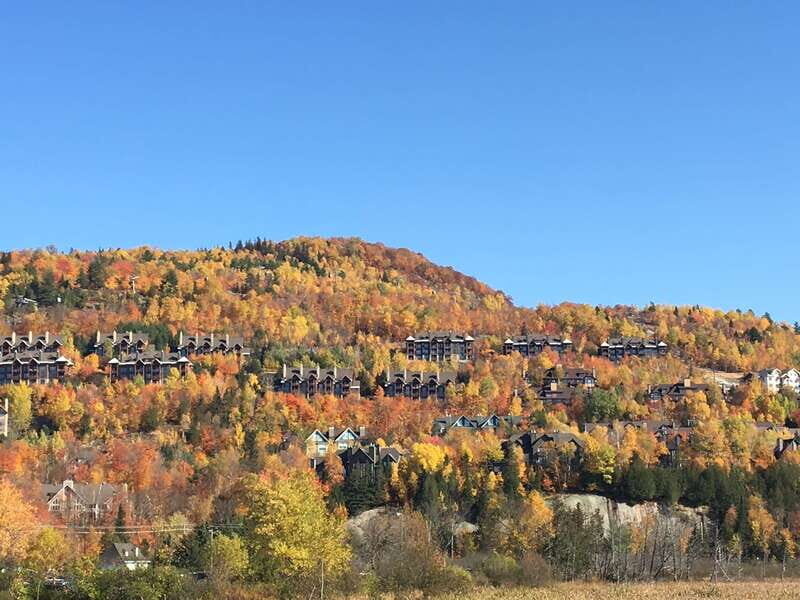 Montreal: Private Day Tour to Mont Tremblant - Comfort and Suitability: Who This Trip Is (and Isn’t) For