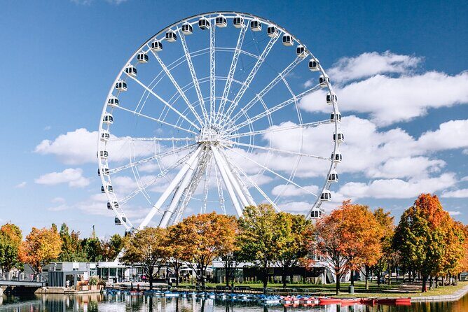 Montréal Scavenger Hunt and City Highlights Walking Tour - Who should book this scavenger hunt?