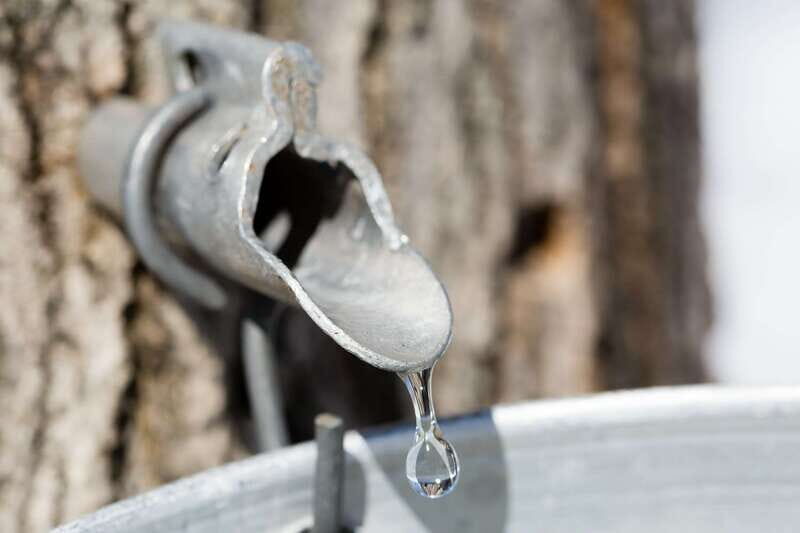 Montreal: Sugar Shack Maple Syrup Day Trip with Lunch - Private pickup from Montreal: time saved, comfort gained