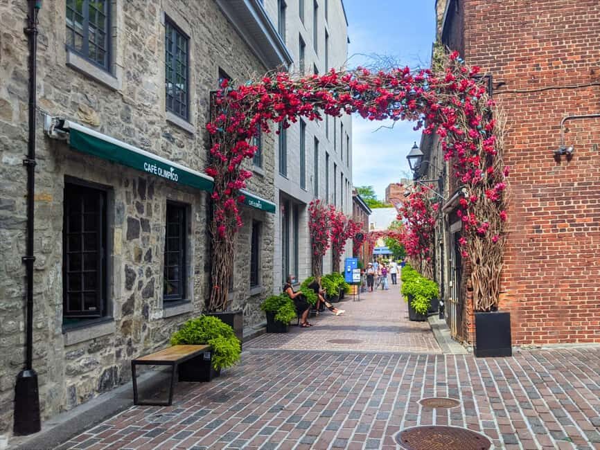 Montréal: The Original Old Montréal Walking Tour - How the guide turns 2 hours into real orientation