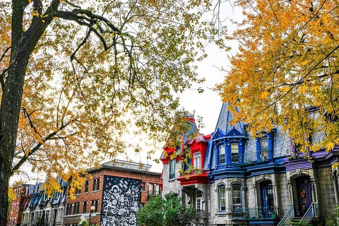Montreal's Plateau Mont-Royal and Mile End Tour by MTL Detours - Key highlights worth showing up for