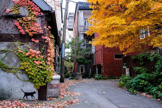 Montreal's Plateau Mont-Royal and Mile End Tour by MTL Detours - Food stops you can taste (and where the tour nudges you)