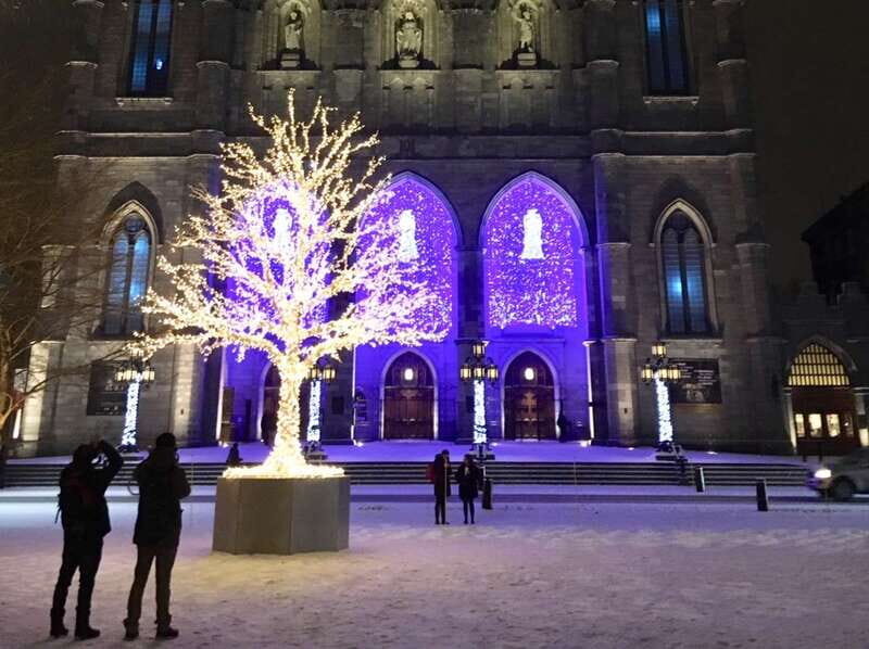 Old Montréal Small-Group Christmas Tour - Festive decorations in shops, museums, and hotel lobbies