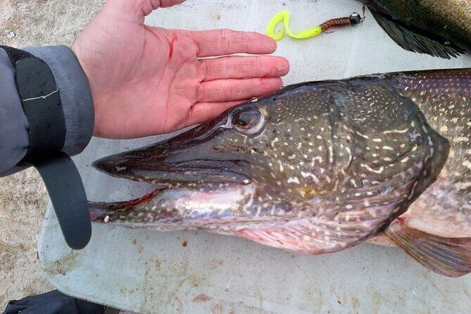 Private Fishing Adventure on the St. Lawrence River - Who This Private Trip Is Best For (And Who Might Want a Different Option)