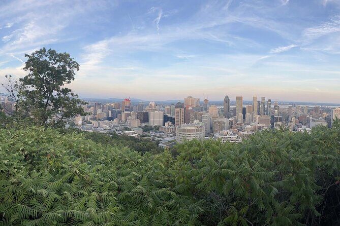 Private Montreal City Tour by Car, History & Hidden Gems - Old Port of Montreal: cobblestones, river energy, and the French thread