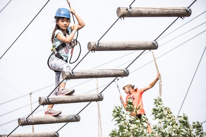 Sailing Aerial Adventure - Price and value at about $48.24 per person
