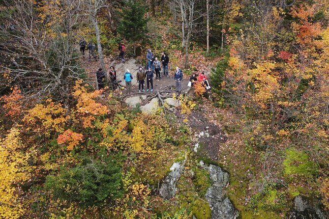 Scenic Hiking Adventure at Mont-Orford National Park - Before the trail: washroom stop, short reset, and what to bring