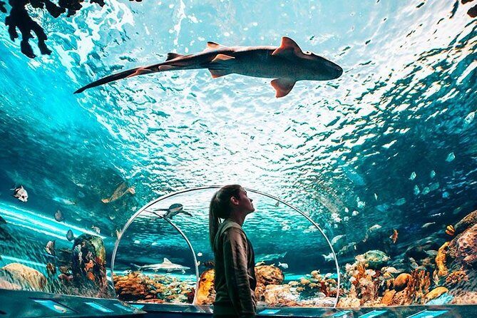 Toronto, Niagara Falls & Thousand Islands VIP 2–Day Trip - The Big Picture: What This Tour Actually Gives You