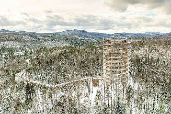 Treetop Observatory and Walk - Key highlights before you go
