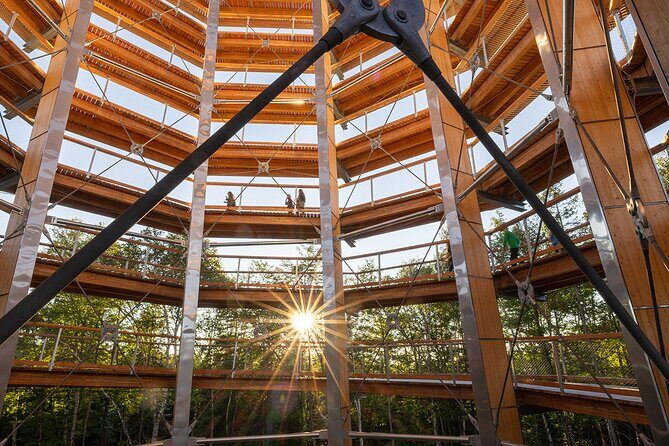 Treetop Observatory and Walk - Your time on the trail: the walk, the tower, and the viewpoint payoff
