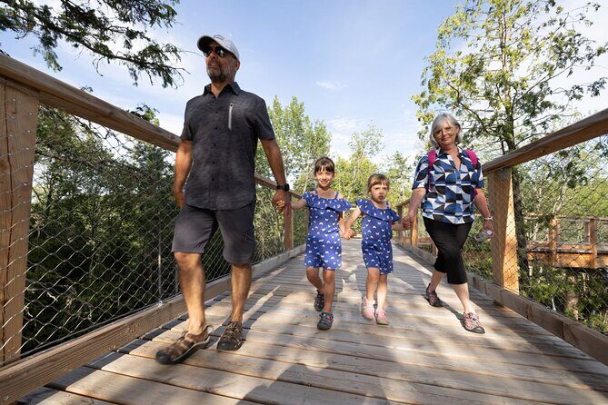 Treetop Observatory and Walk - Comfort level: who it fits best (and one type of traveler to consider)
