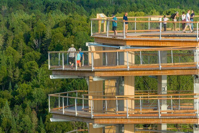 Treetop Observatory and Walk - Should you book the Treetop Observatory and Walk?