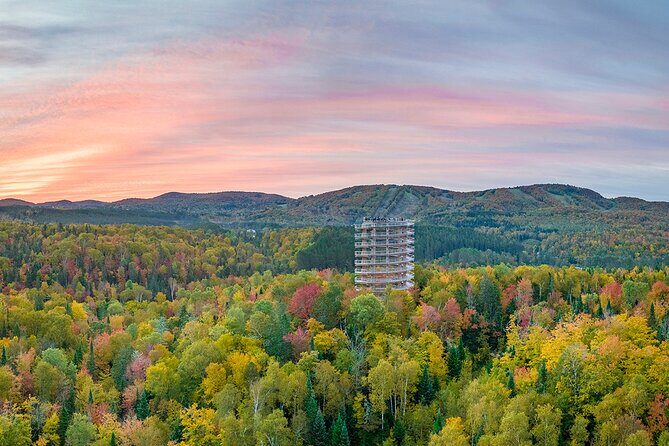 Treetop Observatory and Walk - FAQ