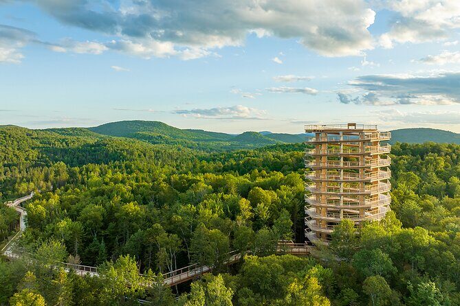 Treetop Observatory and Walk - Price and included perks: what you’re truly paying for